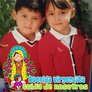 Meet your Posher, Loris